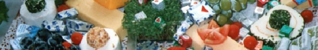Banner1