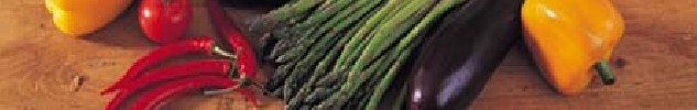 Banner2